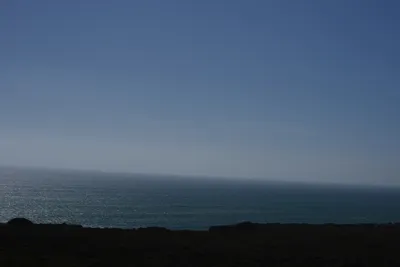 DSC_6902 (Large).JPG